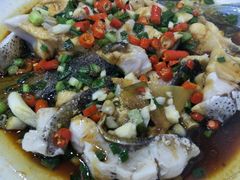 -全乐鱼馆·淳牌有机鱼直营店