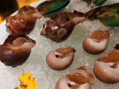 -领鲜天下·焗海鲜·花胶鸡(天目里店)