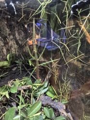 -酷嗒动物文化乐园(cutezoo西溪乐天城店)