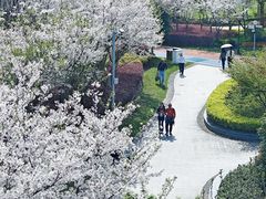 -外高桥保税区南(地铁站)