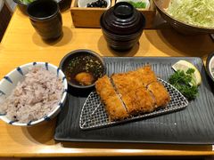 -胜博殿日式炸猪排(西红门店)