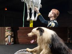 -汕头蓝水星欢乐世界