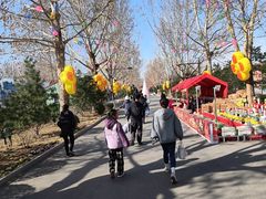 -南宫五洲植物乐园