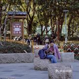 街头随拍｜华山绿地｜闹市区里的街心公园