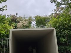 -白鹭湾湿地公园