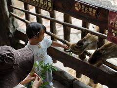 -长鹿旅游休博园