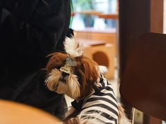 -LANLIZI BAKERY(COSMO店)