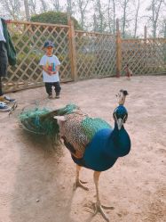 -萌宠亲子动物乐园(槐房万达店)