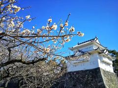 -热田神宫