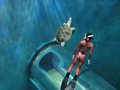 -苏州海洋馆