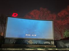 -枫花园汽车电影院(朝阳公园店)
