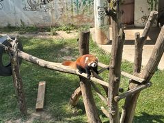 -青藏高原野生动物园