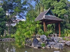 -中国科学院西双版纳热带植物园