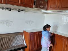 -金山农民画村-枫泾波兰倒置屋