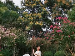 -杭州城北体育公园