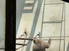 -昆明动物园