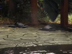 -厦门途易蓝罗约海景温泉酒店(园博苑地铁站店)