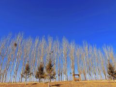 -黑龙江扎龙生态旅游区