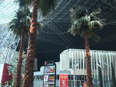 -法拉利主题公园