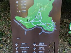 -上海佘山国家森林公园天马山园