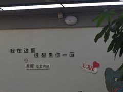 -亲昵春川鸡排(韩国美食街店)