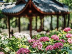 -临平公园(临平街道)