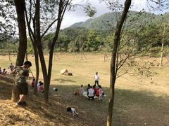 -田心森林公园