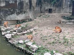 -上海动物园(地铁站)