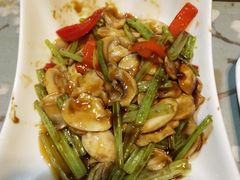 -素心斋素食餐厅