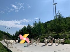 -重庆云阳龙缸景区