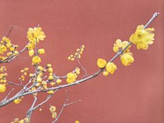 -无锡梅园公园