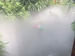 -大妙火锅·非物质文化遗产(东湖公园店)