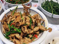 -壹盏灯(惠农店)