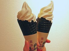 茶王冰淇淋-喜茶(佛山岭南站店)