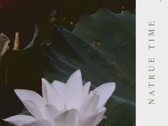 -荔湾湖公园