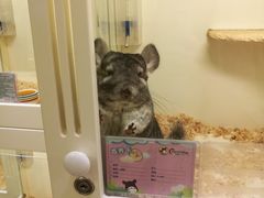 -龙猫仔乐园(惠福东路店)