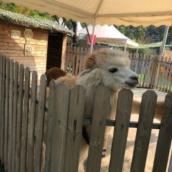 -萌宠亲子动物乐园(槐房万达店)