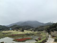 -梧桐山风景名胜区