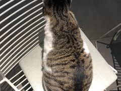 -UNIUNI(凯瑟琳广场店)