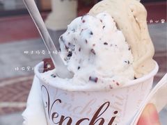 意大利手工冰淇淋-VENCHI 闻绮(上海佛罗伦萨小镇店)