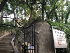 -青岛市江苏路基督教堂