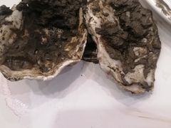 -深海800米海鲜自助(万达广场店)