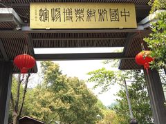 -西湖风景区-江洋畈生态公园