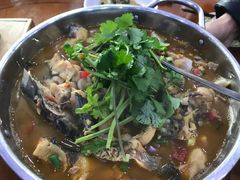 -全乐鱼馆·淳牌有机鱼直营店