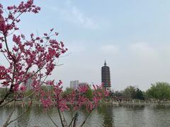 -西海子公园