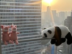 -马泷齿科·成都锦江置略马泷口腔门诊部(IFS国金中心店)