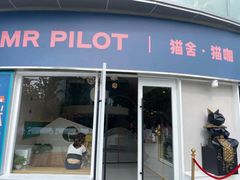 门面-飞行喵MR PILOT|猫舍·猫咖(静安大融城店)