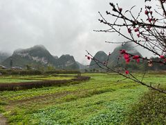 -靖西鹅泉风景区