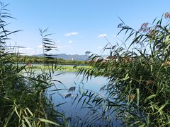 -永定河休闲森林公园