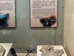 -辽宁古生物博物馆